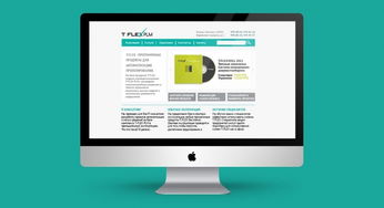 俄羅斯軟件產品開發公司 在創新與挑戰中前行