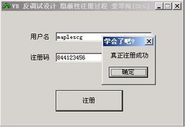 VB共享軟件防破解設(shè)計(jì)技術(shù)初探